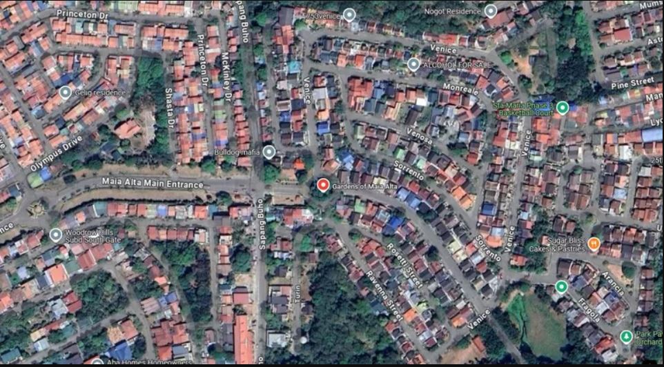 LOTS FOR SALE NEAR ROBINSONS MALL ANTIPOLO IN MAIA ALTA ANTIPOLO RIZAL  - Media Image Asset Panel Sub-No 2