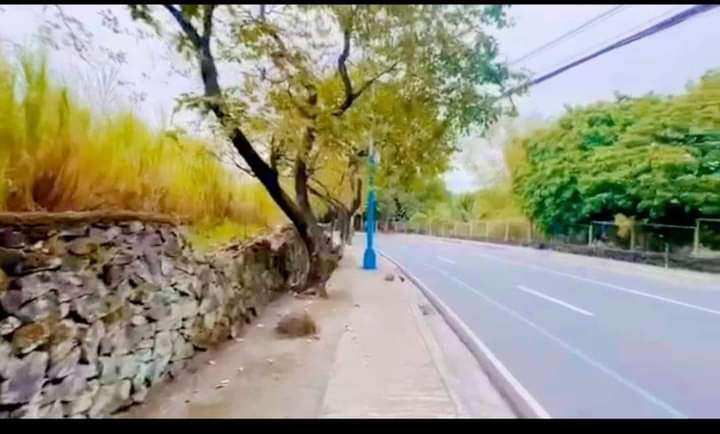 𝐂𝐎𝐌𝐌𝐄𝐑𝐂𝐈𝐀𝐋 𝐋𝐎𝐓 𝐅𝐎𝐑 𝐒𝐀𝐋𝐄 NEAR YNARES MUNICIPAL IN ANTIPOLO RIZAL - Media Image Asset Panel Sub-No 5