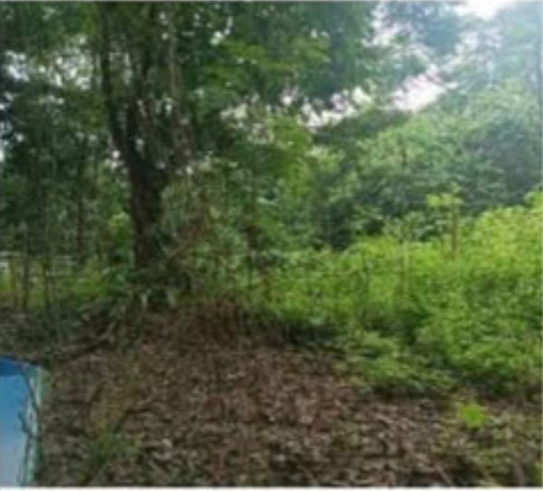 Foreclosed LOT FOR SALE in Eastland Heights Antipolo Rizal - Media Image Asset Panel Sub-No 3