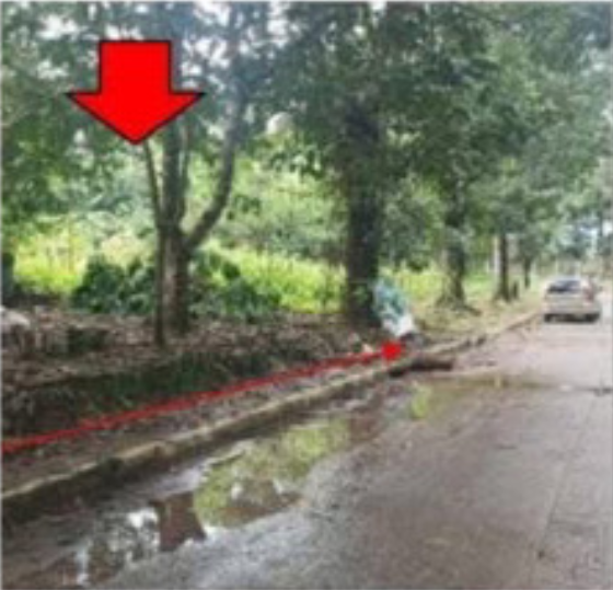 Foreclosed LOT FOR SALE in Eastland Heights Antipolo Rizal - Media Image Asset Panel Sub-No 4