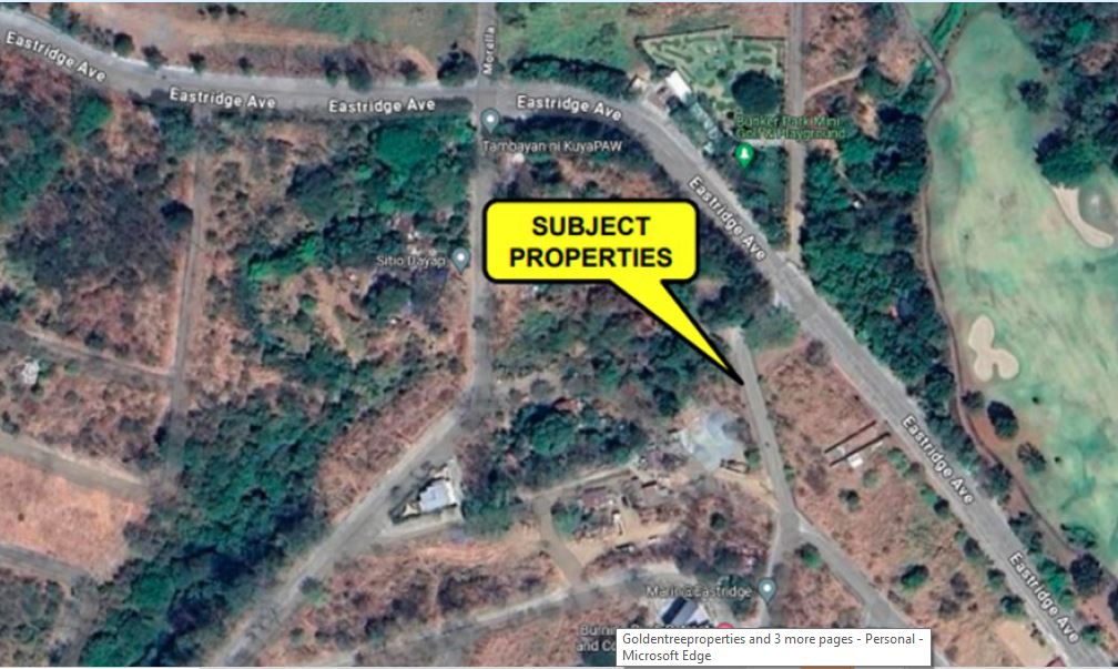 FORECLOSED LOT FOR SALE IN EASTRIDGE, BRGY. BILIBIRAN, BINANGONAN, RIZAL - Primary Display View Frame Location in Binangonan, Rizal