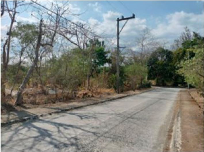 FORECLOSED LOT FOR SALE IN EASTRIDGE, BRGY. BILIBIRAN, BINANGONAN, RIZAL - Media Image Asset Panel Sub-No 6
