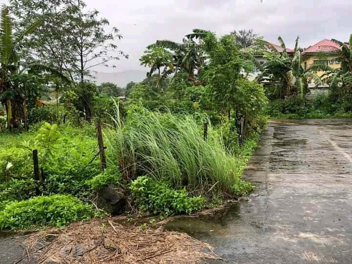LOT FOR SALE NEAR TIMBERLAND HEIGHTS SAN MATEO RIZAL - Media Image Asset Panel Sub-No 2