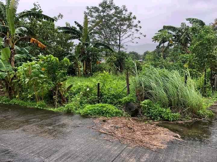 LOT FOR SALE NEAR TIMBERLAND HEIGHTS SAN MATEO RIZAL - Media Image Asset Panel Sub-No 3