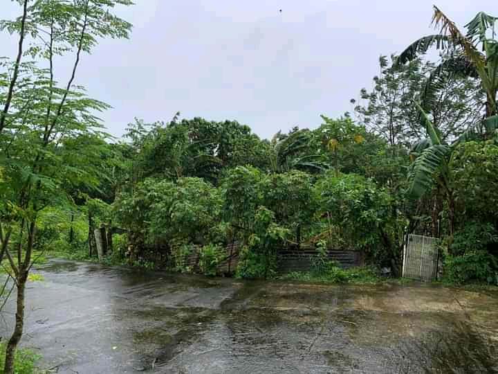 LOT FOR SALE NEAR TIMBERLAND HEIGHTS SAN MATEO RIZAL - Media Image Asset Panel Sub-No 4