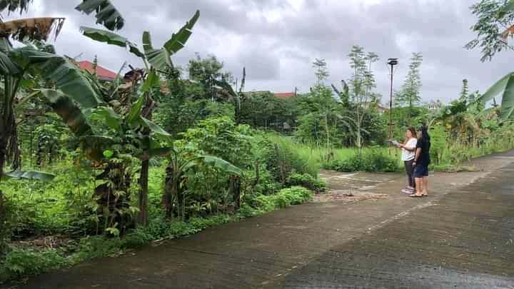 LOT FOR SALE NEAR TIMBERLAND HEIGHTS SAN MATEO RIZAL - Media Image Asset Panel Sub-No 7