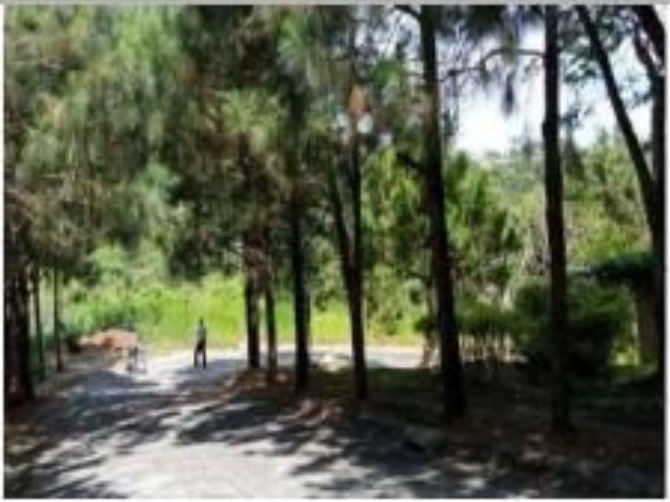 𝐏𝐑𝐎𝐏𝐄𝐑𝐓𝐘 𝐅𝐎𝐑 𝐒𝐀𝐋𝐄 𝐢𝐧 Crosswinds Tagaytay Subdivision, Brgy. Iruhin, Tagaytay City, Cavite - Media Image Asset Panel Sub-No 13