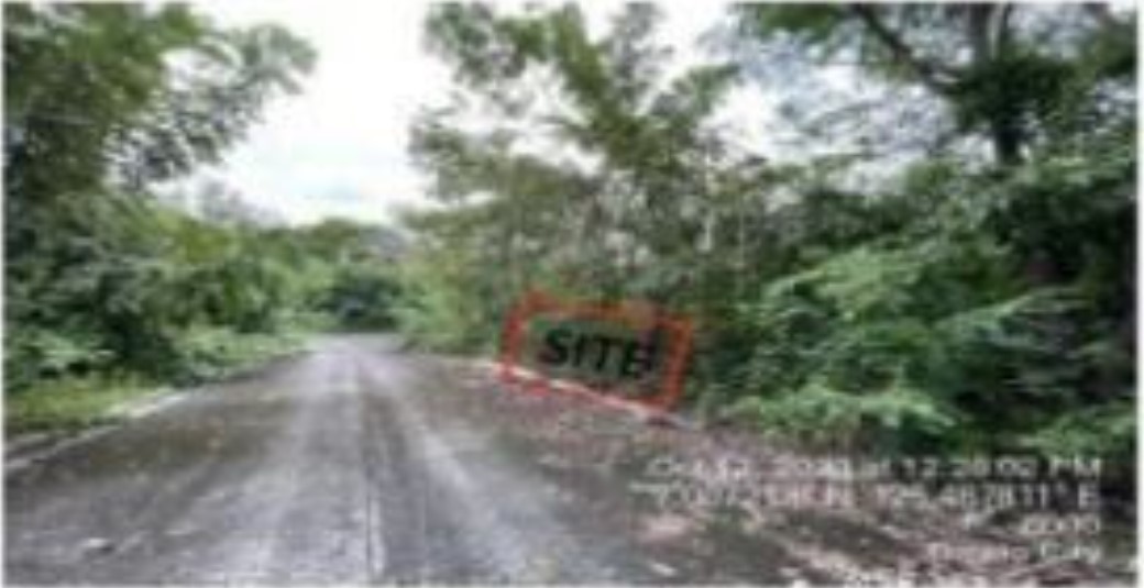 Foreclosed Property for sale in VILLA DE MERCEDES PHASE 2 BRGY. SIRAWAN, DAVAO CITY, DAVAO DEL SUR - Media Image Asset Panel Sub-No 2