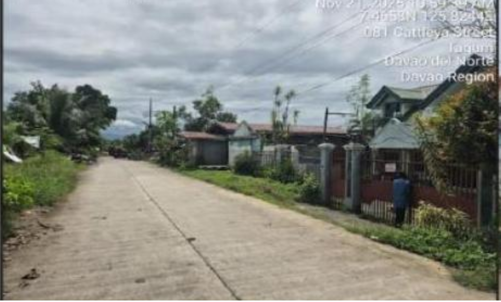 Foreclosed Property for sale in MERVILLE SUBD. BRGY. MAGDUM, TAGUM, DAVAO DEL NORTE - Media Image Asset Panel Sub-No 2