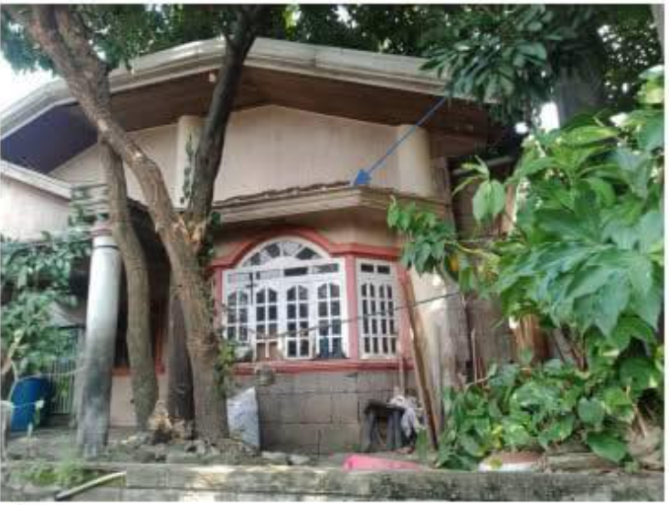 Foreclosed Property for sale in Citation Homes, Brgy. Bahay-Pari, Meycauyan City, Bulacan - Primary Display View Frame Location in Meycauyan City, Bulacan