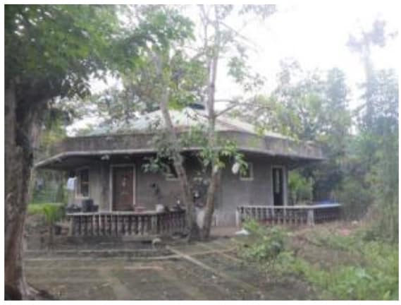 Foreclosed Property for sale in Prinza Streets, Brgy. Lolomboy, Bocaue, Bulacan - Media Image Asset Panel Sub-No 1