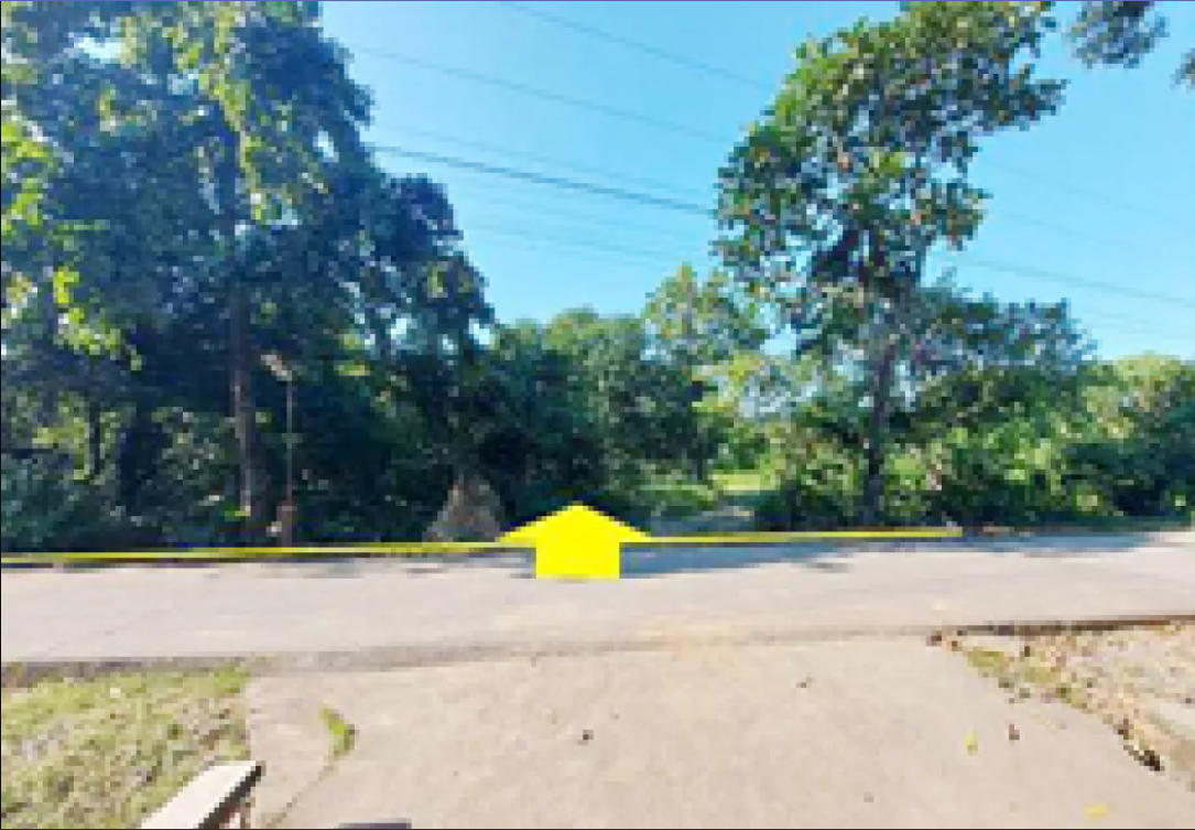 Foreclosed Property for sale in Brgy. Anolid, Malasiqui, Pangasinan - Primary Display View Frame Location in Malasiqui, Pangasinan