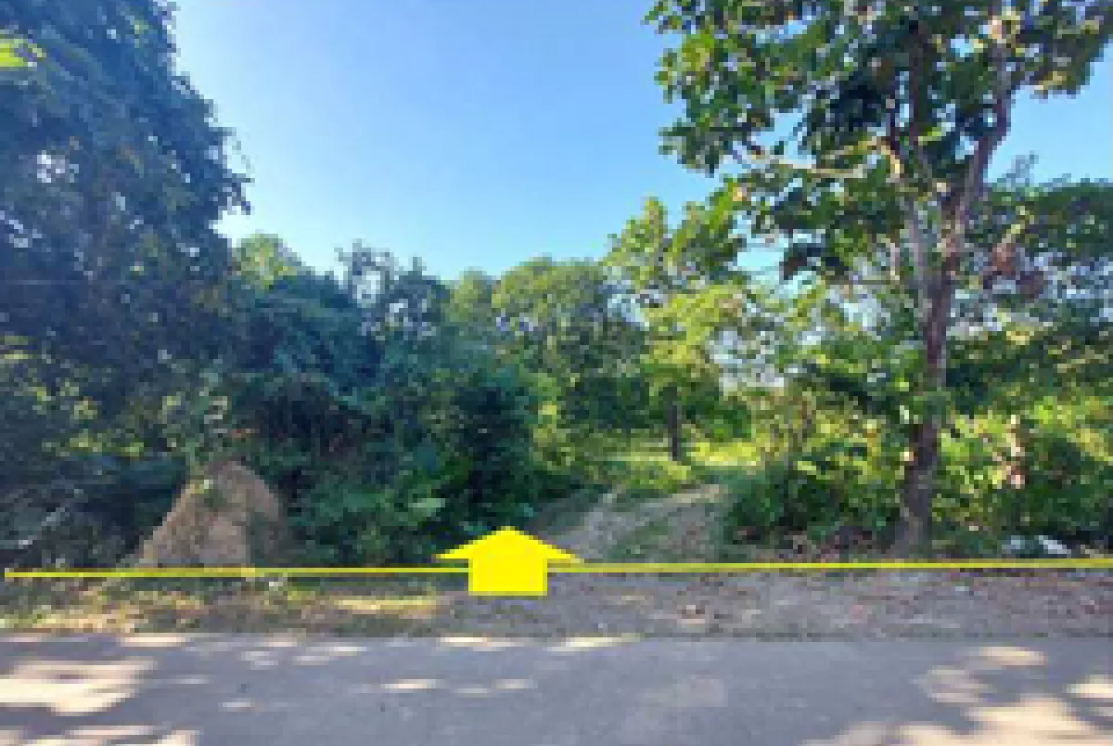 Foreclosed Property for sale in Brgy. Anolid, Malasiqui, Pangasinan - Media Image Asset Panel Sub-No 2