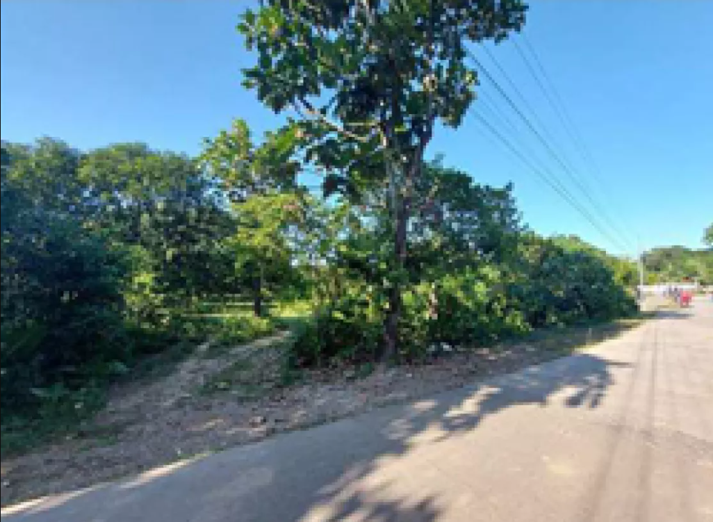 Foreclosed Property for sale in Brgy. Anolid, Malasiqui, Pangasinan - Media Image Asset Panel Sub-No 3