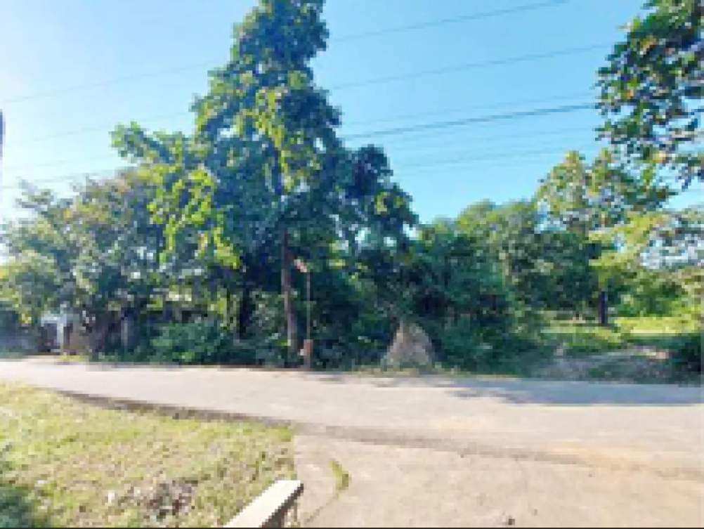 Foreclosed Property for sale in Brgy. Anolid, Malasiqui, Pangasinan - Media Image Asset Panel Sub-No 4