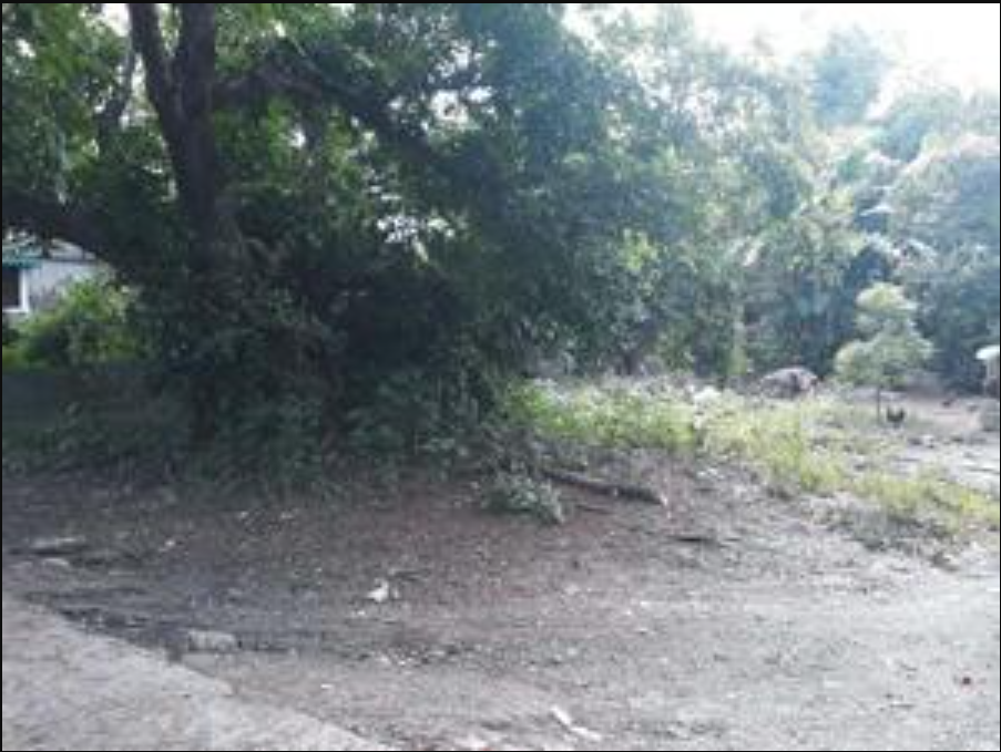 Foreclosed Property for sale in Zone IV, Poblacion, Rosales, Pangasinan - Primary Display View Frame Location in Rosales, Pangasinan