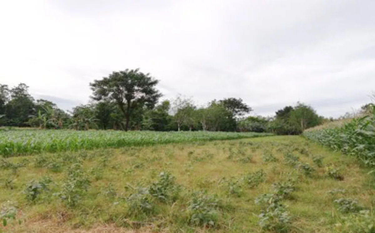 Foreclosed Property for sale in Barangay Malibong, Urbiztondo, Pangasinan - Primary Display View Frame Location in Urbiztondo, Pangasinan