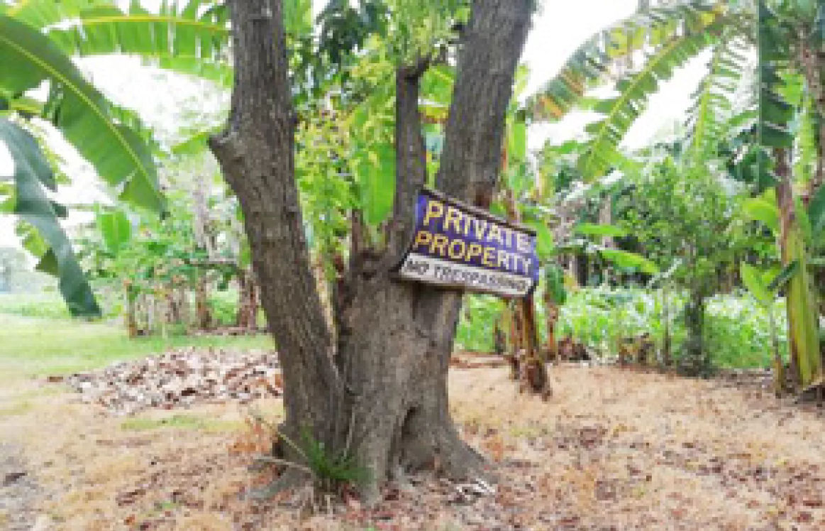 Foreclosed Property for sale in Barangay Malibong, Urbiztondo, Pangasinan - Media Image Asset Panel Sub-No 3