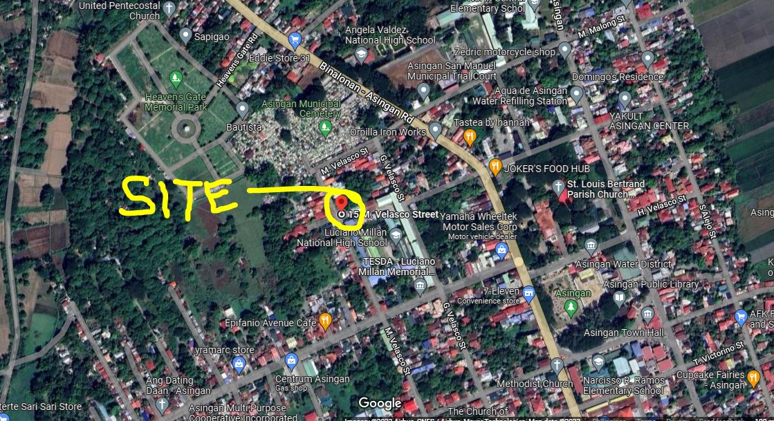 Foreclosed Property for sale in Velasco St., Brgy. Domanpot, Asingan, Pangasinan - Media Image Asset Panel Sub-No 9