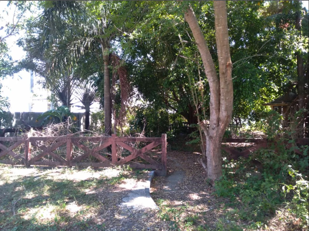 Foreclosed Property for sale in Brgy. Magtaquing/Paitan, San Carlos City, Pangasinan - Media Image Asset Panel Sub-No 17