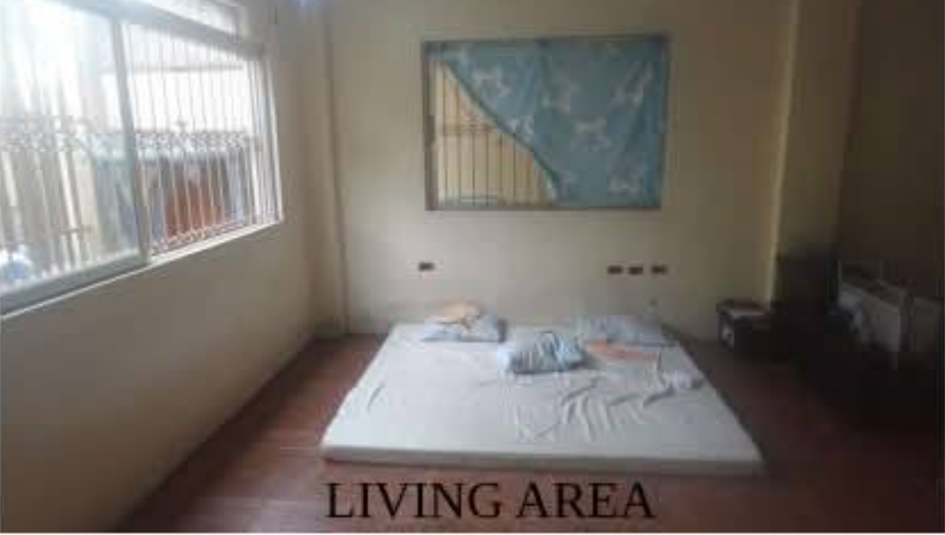 Foreclosed Property for sale in Sunriser Village, Brgy. 167 (Bo. Camarin), Caloocan City - Media Image Asset Panel Sub-No 4
