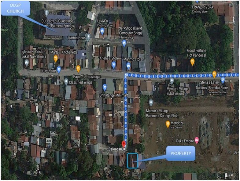 Foreclosed  House & Lot For Sale in Caloocan City, Metro Manila (98 sqm Lot Area) - Media Image Asset Panel Sub-No 8