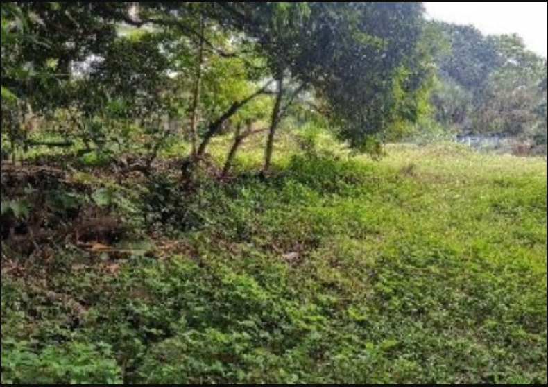 Foreclosed Property for sale in Filinvest II Subdivision, Brgy. Bagong Silangan, Quezon City - Media Image Asset Panel Sub-No 2