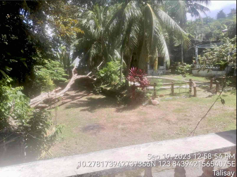 Foreclosed Property for sale in OTTAWA STREET, BARANGAY CANDULAWAN, TALISAY, CEBU - Primary Display View Frame Location in Talisay, Cebu