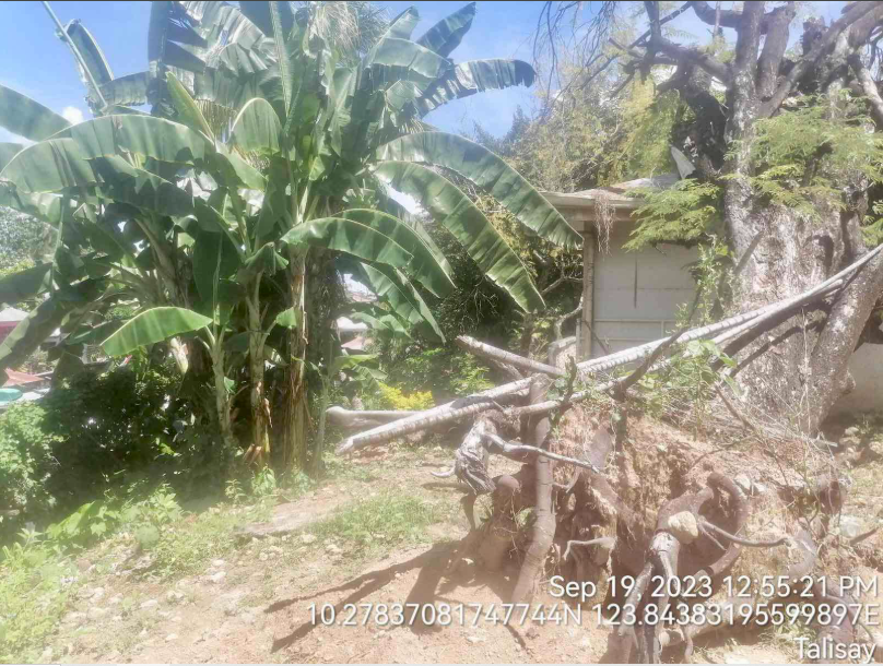 Foreclosed Property for sale in OTTAWA STREET, BARANGAY CANDULAWAN, TALISAY, CEBU - Media Image Asset Panel Sub-No 7