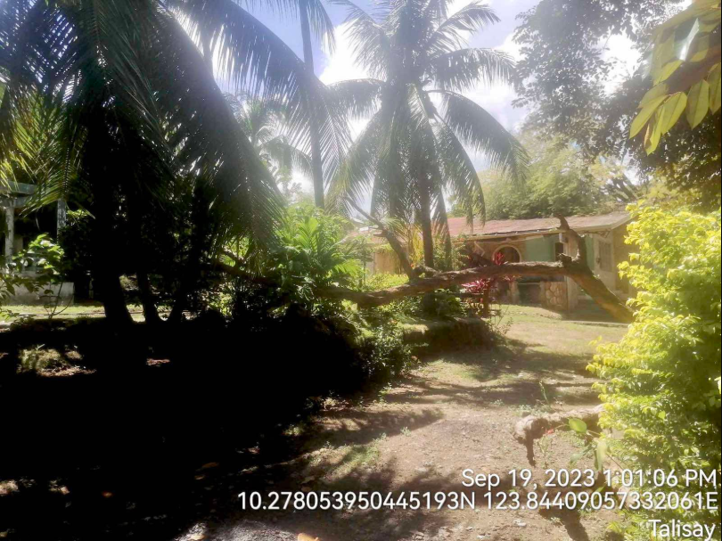 Foreclosed Property for sale in OTTAWA STREET, BARANGAY CANDULAWAN, TALISAY, CEBU - Media Image Asset Panel Sub-No 8