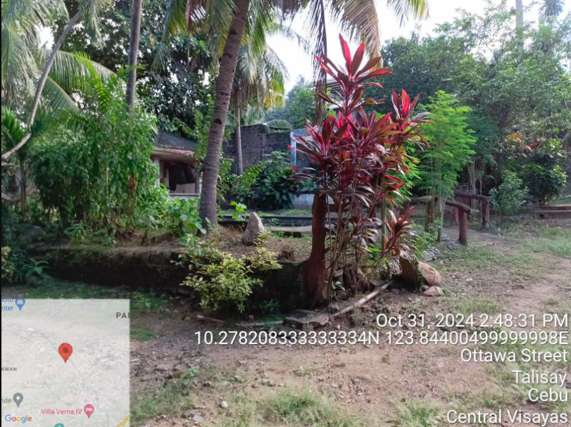 Foreclosed Property for sale in OTTAWA STREET, BARANGAY CANDULAWAN, TALISAY, CEBU - Media Image Asset Panel Sub-No 15