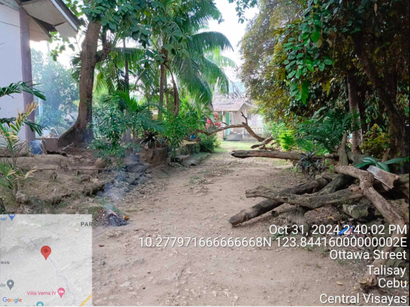 Foreclosed Property for sale in OTTAWA STREET, BARANGAY CANDULAWAN, TALISAY, CEBU - Media Image Asset Panel Sub-No 18