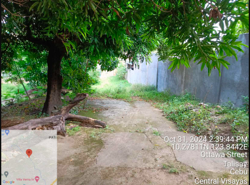 Foreclosed Property for sale in OTTAWA STREET, BARANGAY CANDULAWAN, TALISAY, CEBU - Media Image Asset Panel Sub-No 19