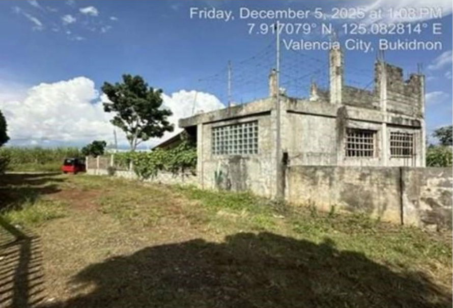 Foreclosed Property for sale in BRGY. POBLACION, VALENCIA, BUKIDNON - Media Image Asset Panel Sub-No 2