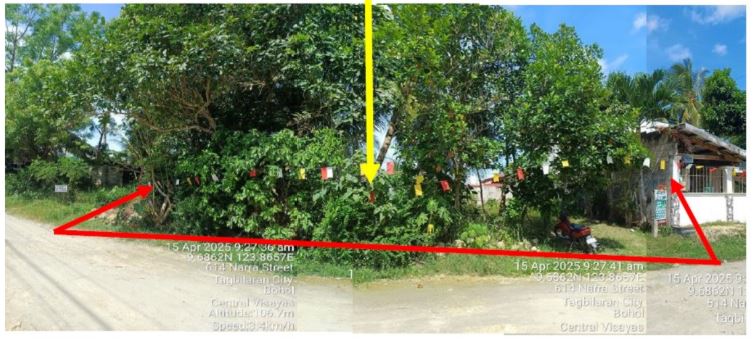 Foreclosed Property for sale in UPTOWN SUBDIVISION BRGY. TIPTIP, TAGBILARAN CITY, BOHOL - Primary Display View Frame Location in Tagbilaran City, Bohol