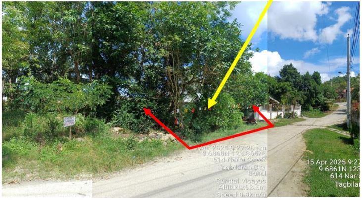 Foreclosed Property for sale in UPTOWN SUBDIVISION BRGY. TIPTIP, TAGBILARAN CITY, BOHOL - Media Image Asset Panel Sub-No 3