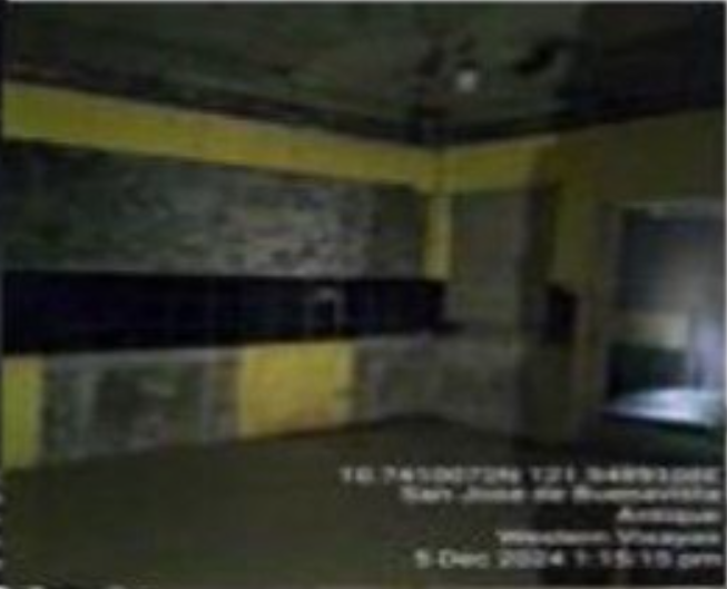 Foreclosed Property for sale in BRGY. 8, SAN JOSE (CAPITAL), ANTIQUE - Media Image Asset Panel Sub-No 9