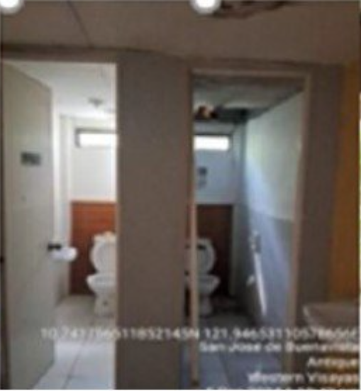 Foreclosed Property for sale in BRGY. 8, SAN JOSE (CAPITAL), ANTIQUE - Media Image Asset Panel Sub-No 17