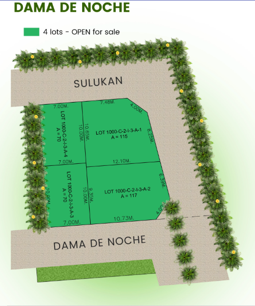 3BR Pre Selling Townhouse for sale near SM and LRT Masinag  - Media Image Asset Panel Sub-No 8