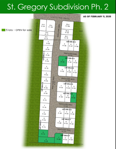 3BR Pre Selling House and lot for sale near Sta. Lucia and LRT Marikina Station - Media Image Asset Panel Sub-No 6