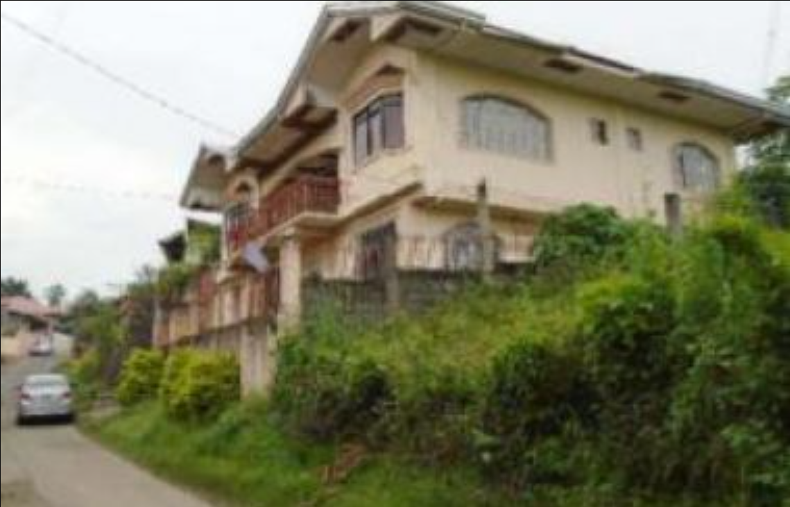 Foreclosed Property for sale in Arumahan-Bagong Pook Road, Brgy. Arumahan, Lemery, Batangas - Media Image Asset Panel Sub-No 3