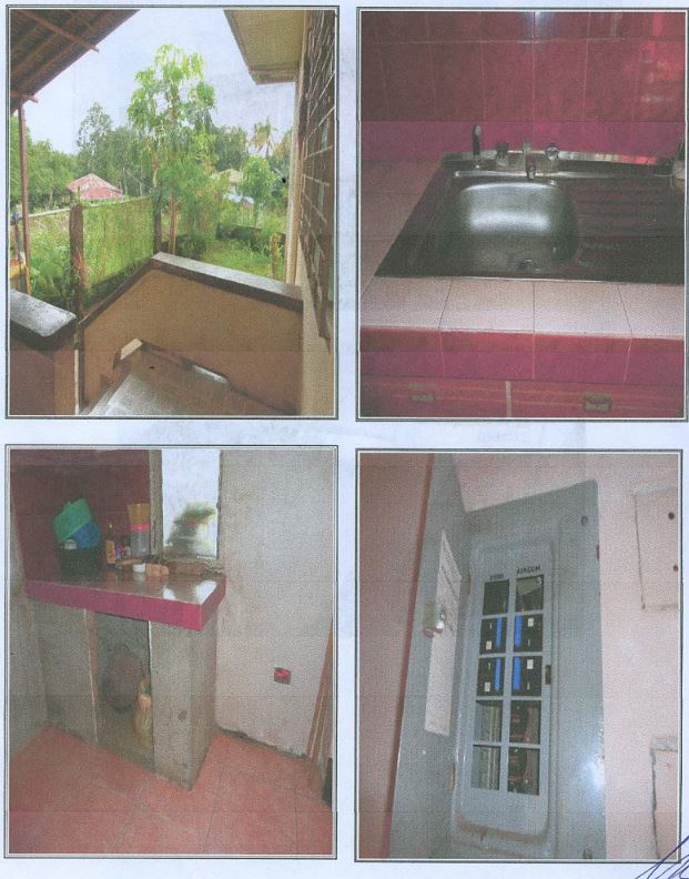 Foreclosed Property for sale in Arumahan-Bagong Pook Road, Brgy. Arumahan, Lemery, Batangas - Media Image Asset Panel Sub-No 8