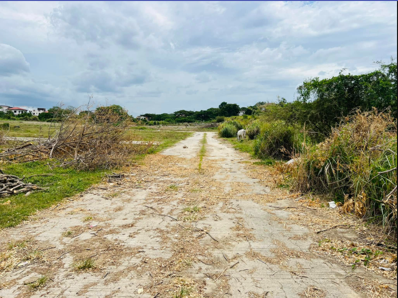 Foreclosed Property for sale in GC Berberabe Subdivision, Brgy. Pallocan East, Batangas City, Batangas - Media Image Asset Panel Sub-No 4