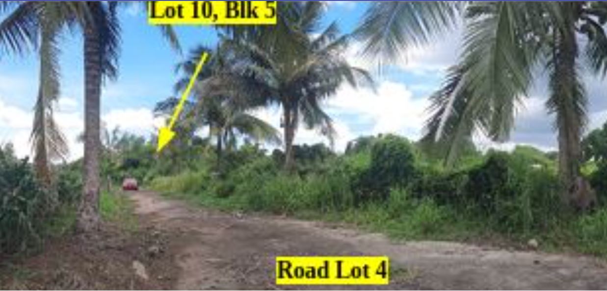 Foreclosed Property for sale in Don Pepe's Farm Subdivision, Brgy. Pacol, Naga City, Camarines Sur - Media Image Asset Panel Sub-No 3