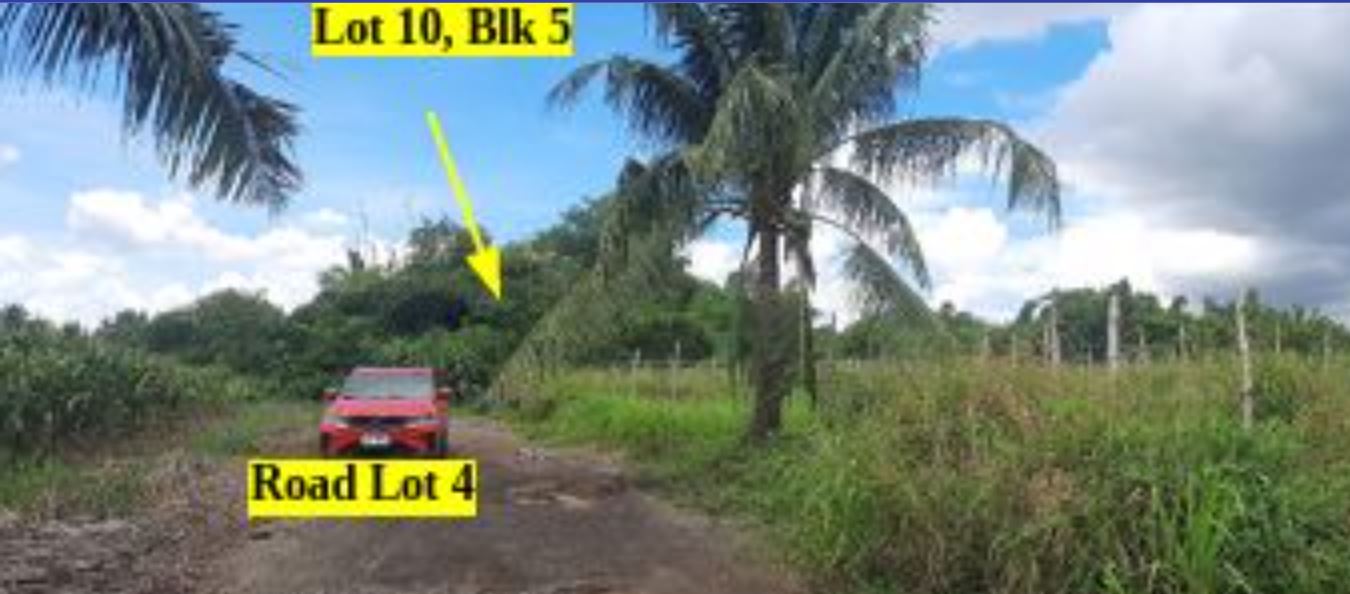 Foreclosed Property for sale in Don Pepe's Farm Subdivision, Brgy. Pacol, Naga City, Camarines Sur - Media Image Asset Panel Sub-No 4