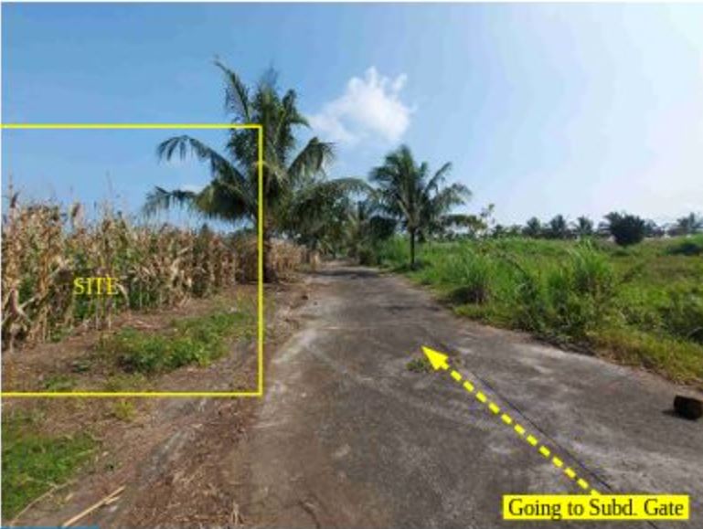 Foreclosed Property for sale in Don Pepe's Farm Subdivision, Brgy. Pacol, Naga City, Camarines Sur - Media Image Asset Panel Sub-No 5
