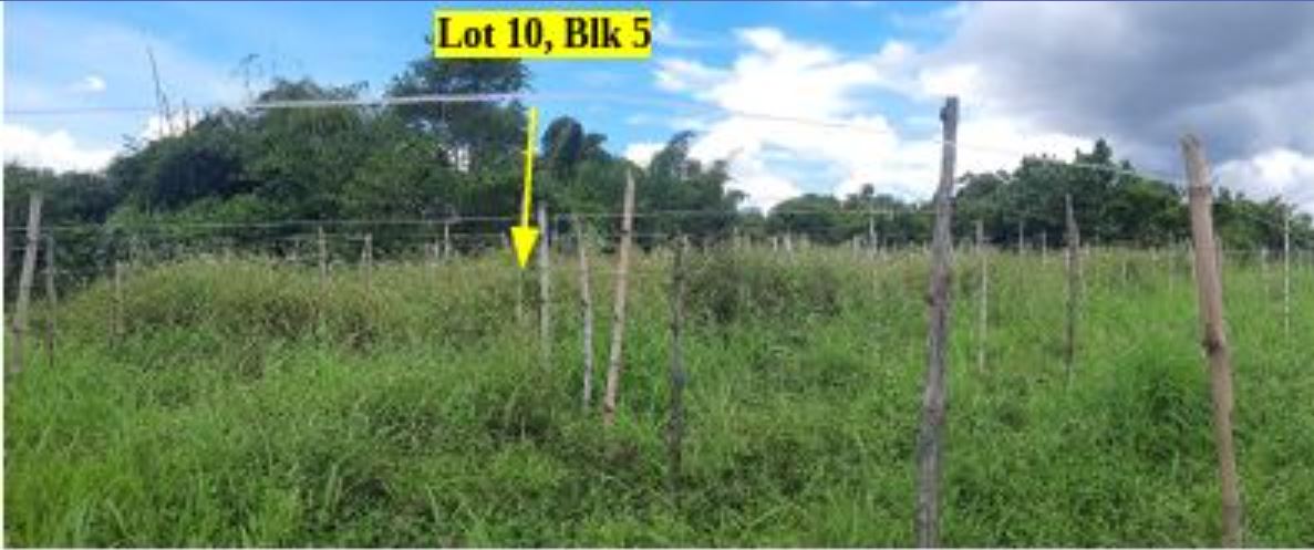 Foreclosed Property for sale in Don Pepe's Farm Subdivision, Brgy. Pacol, Naga City, Camarines Sur - Media Image Asset Panel Sub-No 6