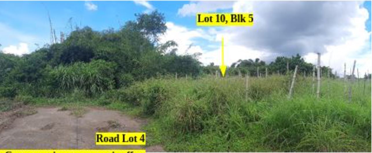 Foreclosed Property for sale in Don Pepe's Farm Subdivision, Brgy. Pacol, Naga City, Camarines Sur - Media Image Asset Panel Sub-No 7