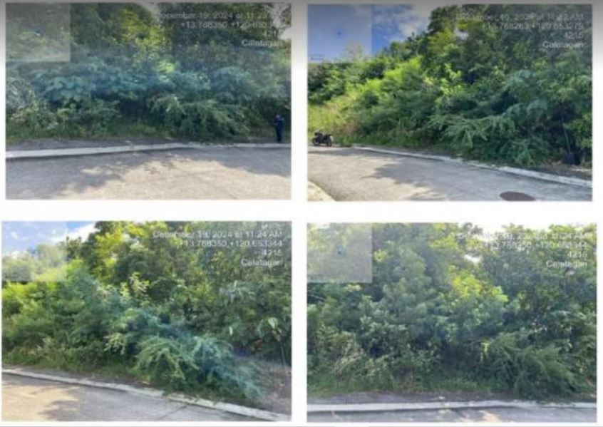 Foreclosed Property for sale in PLAYA CALATAGAN PH 3, SAN ANDREAS BEACH DRIVE, BRGY STA. ANA, CALATAGAN, BATANGAS - Media Image Asset Panel Sub-No 7