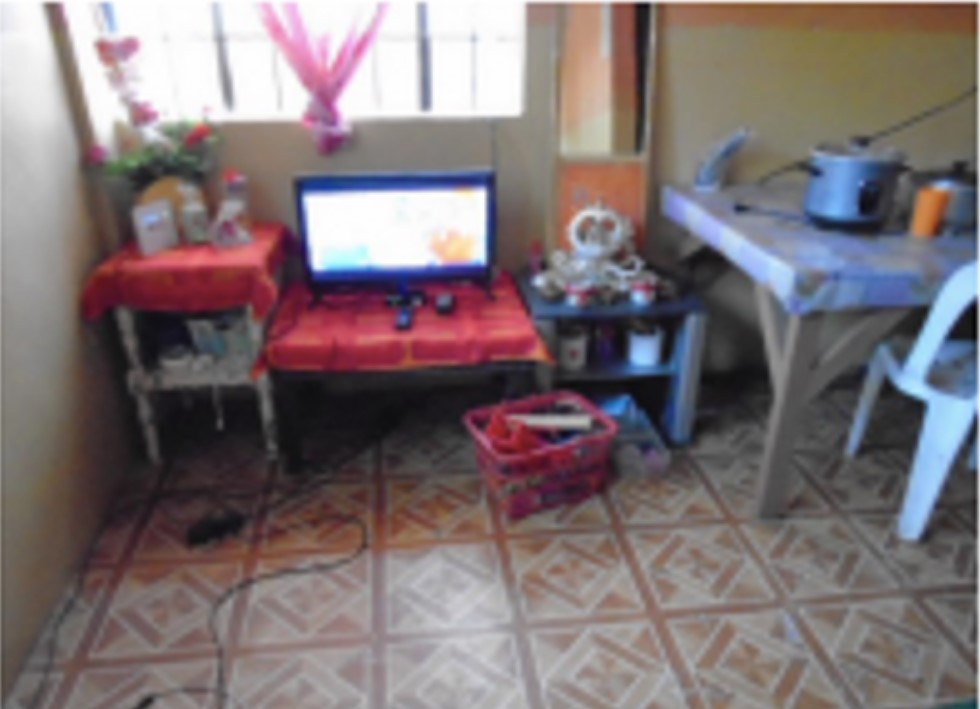 Foreclosed Property for sale in St. Francis 12 Subdivision, Brgy. San Antonio, Biñan, Laguna - Media Image Asset Panel Sub-No 3